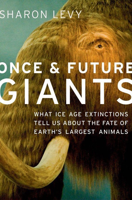 Once and Future Giants - cover