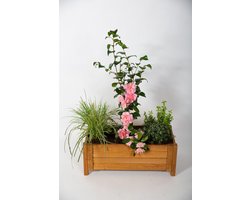 Houten Plantenbak
