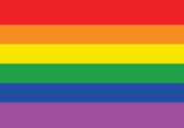 Vlag - Sticker - Regenboogvlag - Regenboog - Gay - LGBT - Rainbow - LHBTI