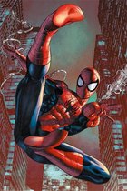 Pyramid Spider Man Web Sling  Poster - 61x91,5cm