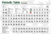 Pyramid Periodic Table Cannabis  Poster - 61x91,5cm
