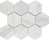 0,76m² - Mozaiek Tegels - Barcelona Hexagon Carrara Wit 9,5x11