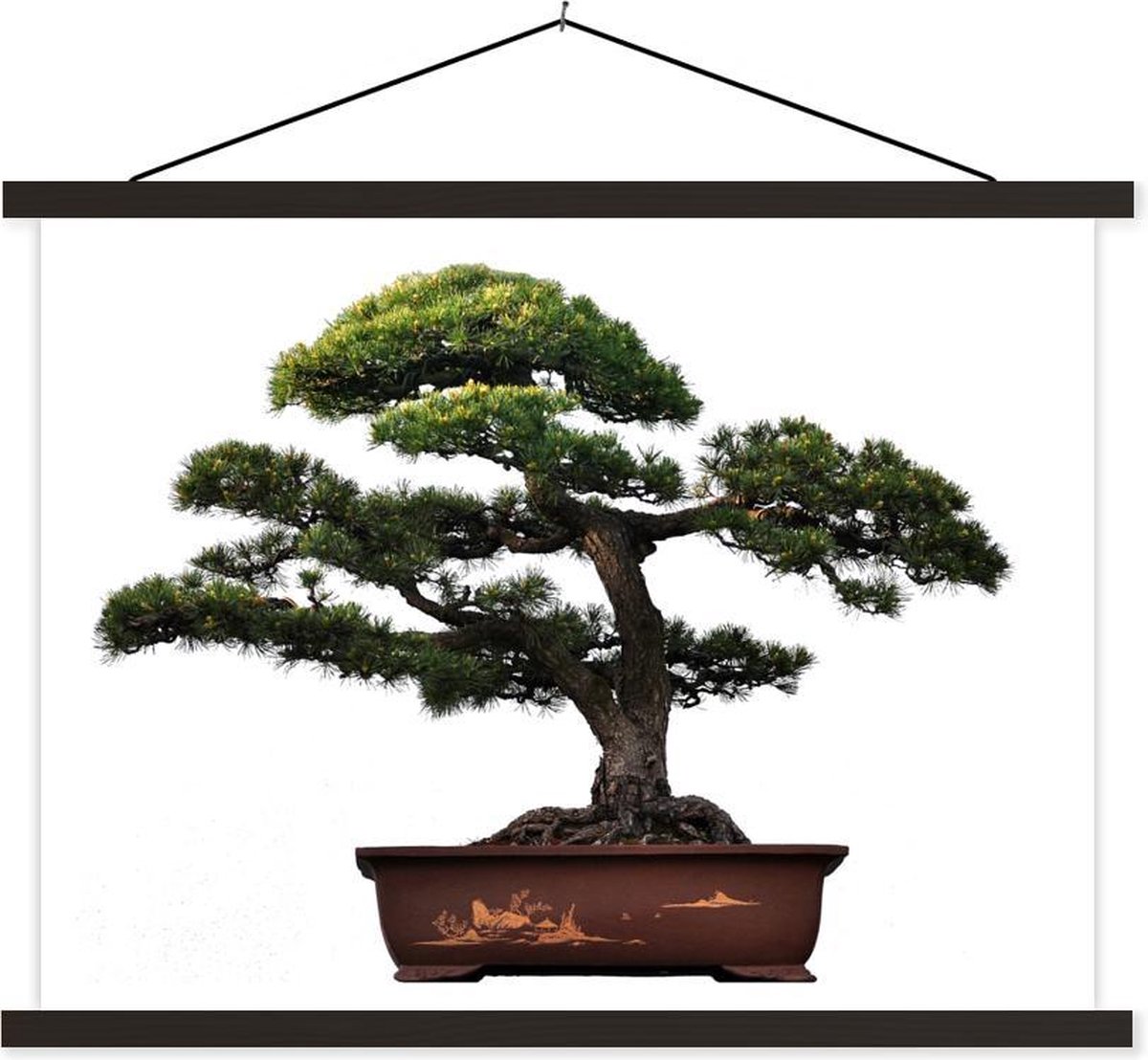 Beeld van een bonsai boom voor een felle witte achtergrond waardoor de