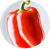 Forex Wandcirkel - Rode Paprika - 20x20cm Foto op Wandcirkel (met ophangsysteem)