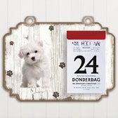 Scheurkalender 2023 Hond: Malteser