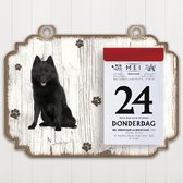 Scheurkalender 2023 Hond: Schipperke