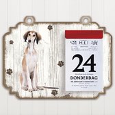 Scheurkalender 2023 Hond: Saluki