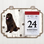 Scheurkalender 2023 Hond: Newfoundlander