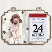 Scheurkalender 2023 Hond: Lagotto Romagnolo