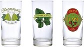 DUROBOR - SET VAN 3 GLASEN - CITRONADE / FRAISE / MENTHE