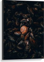 Canvas  - Stapel Zeedieren - 60x90cm Foto op Canvas Schilderij (Wanddecoratie op Canvas)