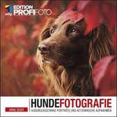 mitp Edition ProfiFoto - Hundefotografie