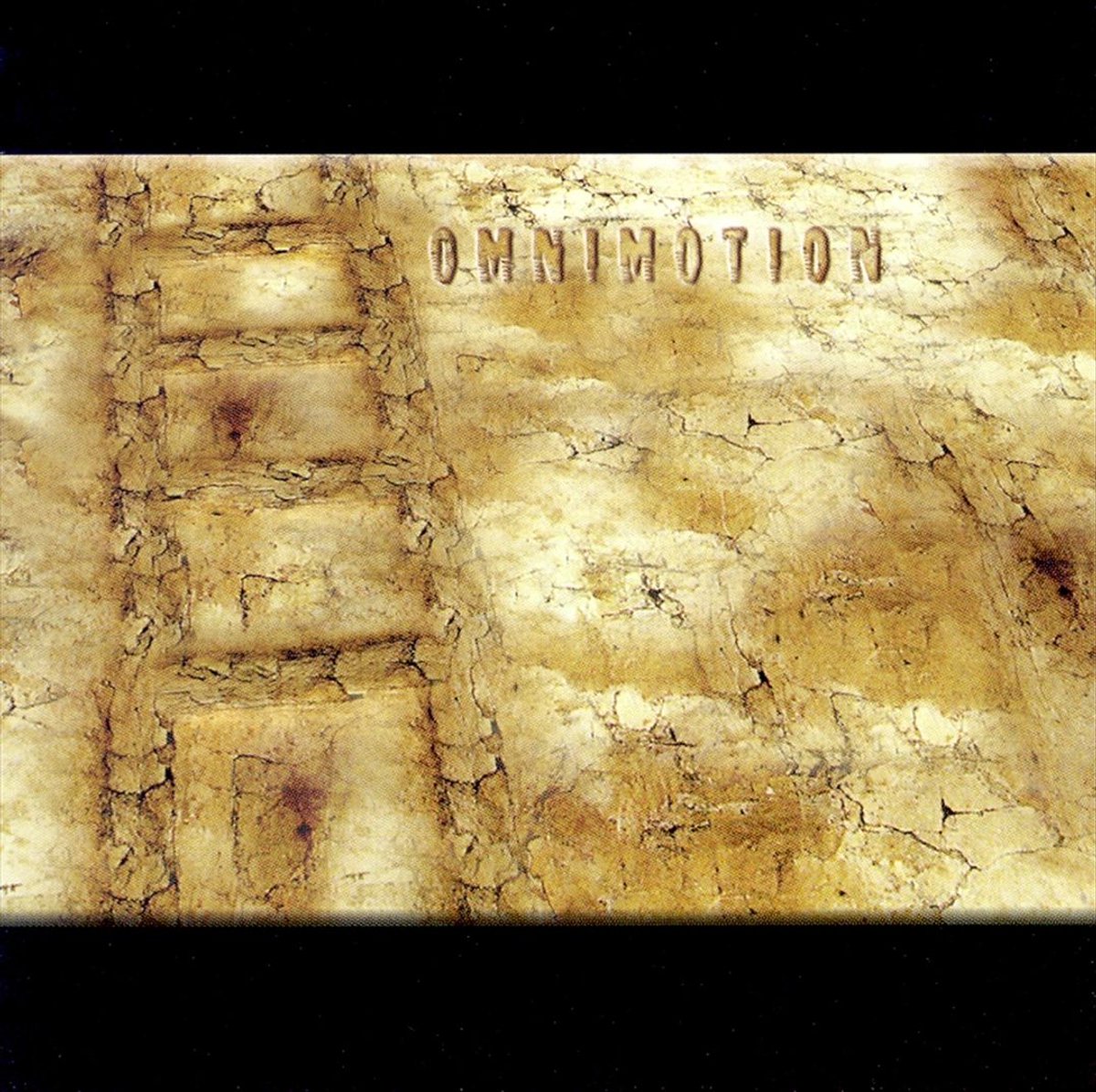 Omnimotion