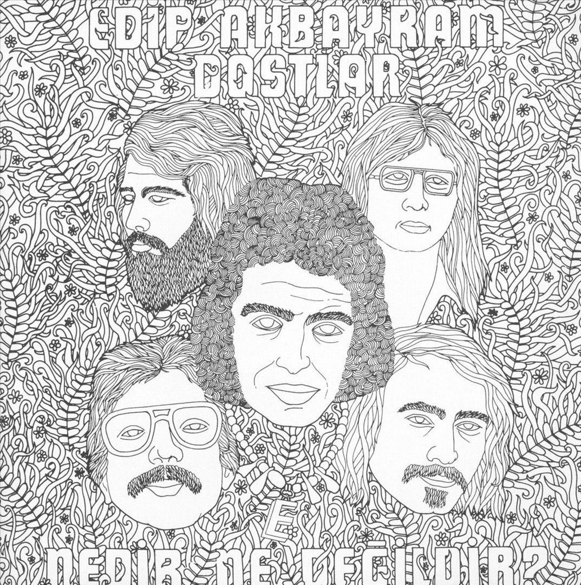 Edip Ve Dostlar Akbayram - Nedir Ne Degildir? (CD)