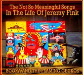 Not So Meaningful Songs In The Life of Jeremy Fink