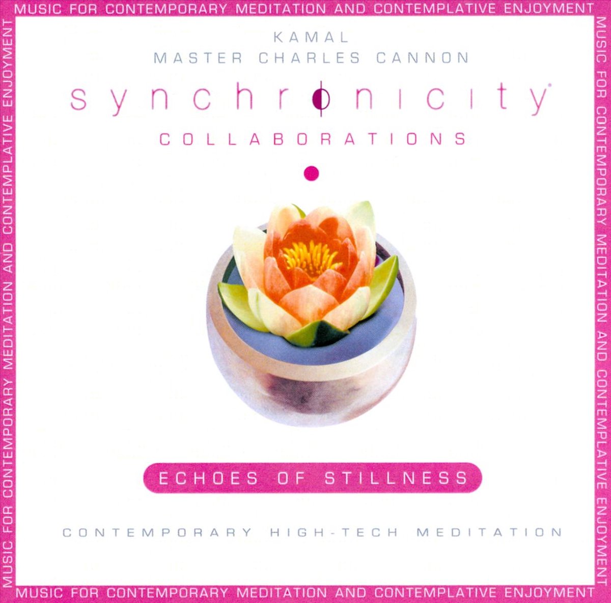 Collaborations: Echoes of Stillness
