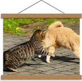 Schoolplaat – Spelende Katjes - 40x30cm Foto op Textielposter (Wanddecoratie op Schoolplaat)