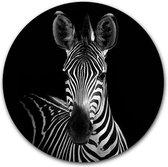 Wandcirkel Zebra Portret - WallCatcher | Geborsteld Aluminium 80 cm | Muurcirkel Zebra Portait