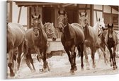 Schilderij - Kudde paarden buiten — 100x70 cm