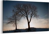 Schilderij - Twee bomen silhouet in een veld omgeven door sneeuw — 100x70 cm