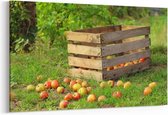 Schilderij - Kist met appels — 100x70 cm
