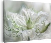 Artaza Canvas Schilderij Witte Bloem met een Onscherpe Achtergrond - 120x80 - Groot - Foto Op Canvas - Canvas Print