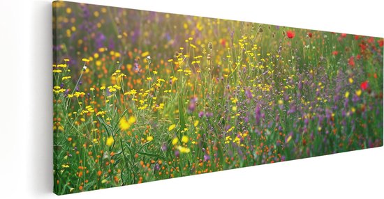 Artaza Canvas Schilderij Kleurrijke Bloemen in een Veld - 120x40 - Wanddecoratie - Foto Op Canvas - Canvas Print