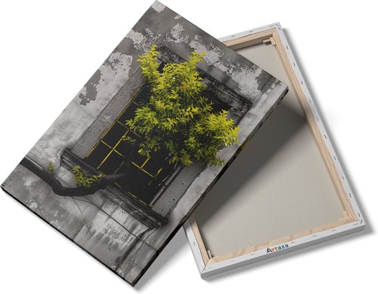 Tableau sur toile Artaza Arbre poussant à travers une fenêtre - 20x30 - Klein - Photo sur toile - Impression sur toile