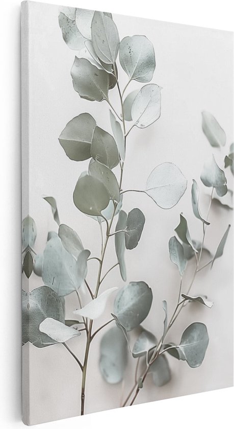Artaza Canvas Schilderij Eucalyptusbladeren op een Witte Achtergrond - 40x60 - Wanddecoratie - Foto Op Canvas - Canvas Print