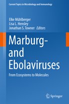 Marburg and Ebolaviruses