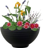 vdvelde.com - Mini Vijver Schaal met Planten Set - Rood - Complete set - 15 planten - Kunststof schaal Ø 40 x H 20 cm