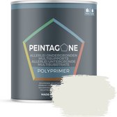 Peintagone PolyPrimer - PE003 New Cottage - 0,5L