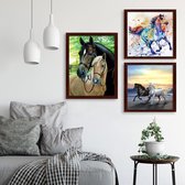 Diamond Painting Paard / Horse Diamond Painting set for adults and children ,, 3 pieces ,30 x 40 cm