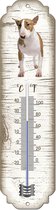 Thermometer: Bull Terriër Miniatuur | Hondenras | Temperatuur binnen en buiten | -25 tot +45C