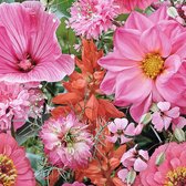 MRS Seeds & Mixtures Zomerbloemenmengsel - Roze & Rode Tinten – 20 bloemsoorten – Lokt bijen, hommels en vlinders