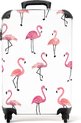 Wit - Flamingo