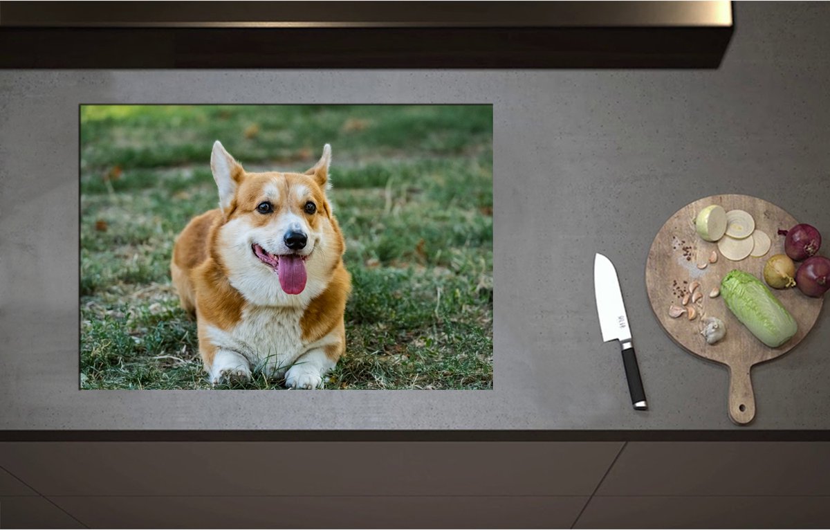 Inductieplaat Beschermer - Blije Corgi Hond met Uitstekende Tong in het Grasveld - 75x52 cm - 2 mm Dik - Inductie Beschermer - Bescherming Inductiekookplaat - Kookplaat Beschermer van Wit Vinyl