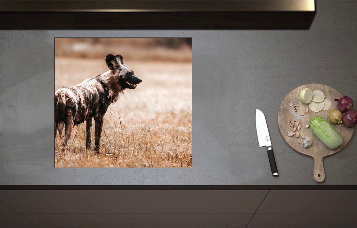Inductieplaat Beschermer - Bont Gekleurde Hyeana in Droog Afrikaans Landschap - 58x55 cm - 2 mm Dik - Inductie Beschermer - Bescherming Inductiekookplaat - Kookplaat Beschermer van Wit Vinyl