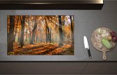 Inductieplaat Beschermer - Bos in de Herfst met Zonnestralen door de Bomen - 85x51 cm - 2 mm Dik - Inductie Beschermer - Bescherming Inductiekookplaat - Kookplaat Beschermer van Zwart Vinyl