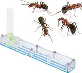 Ferme de fourmis - Ferme de fourmis - Nid de fourmis - Maison de fourmis - Hôtel de fourmis - Colonie de fourmis - Premium