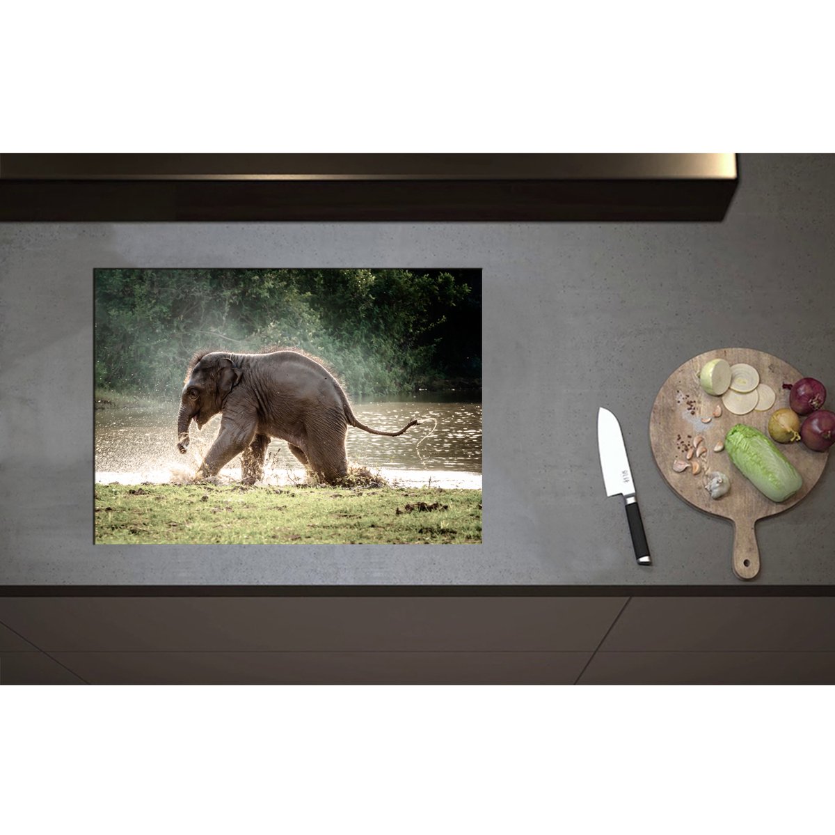 Inductieplaat Beschermer - Baby Olifant Spelend in Meer in Regenwoud - 70x50 cm - 2 mm Dik - Inductie Beschermer - Bescherming Inductiekookplaat - Kookplaat Beschermer van Wit Vinyl