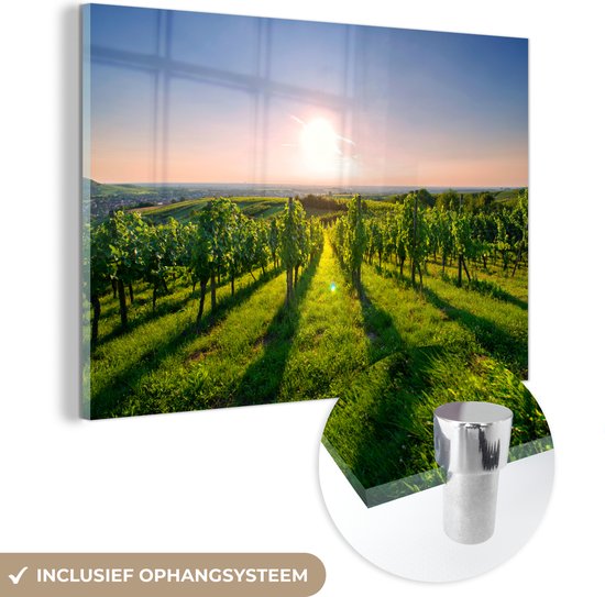 MuchoWow® Glasschilderij 90x60 cm - Schilderij acrylglas - Groene wijngaarden bij een zonsopkomst - Foto op glas - Schilderijen
