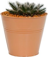 Mega Collections plantenpot/bloempot Bob - zink - terra - D11 X H10 cm