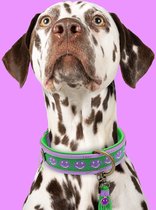 DWAM Dog with a Mission Halsband Hond – Hondenhalsband – Groen - Paars - Lila – M – Leer – Halsomvang tussen 32-39 x 2,5 cm – Smiley