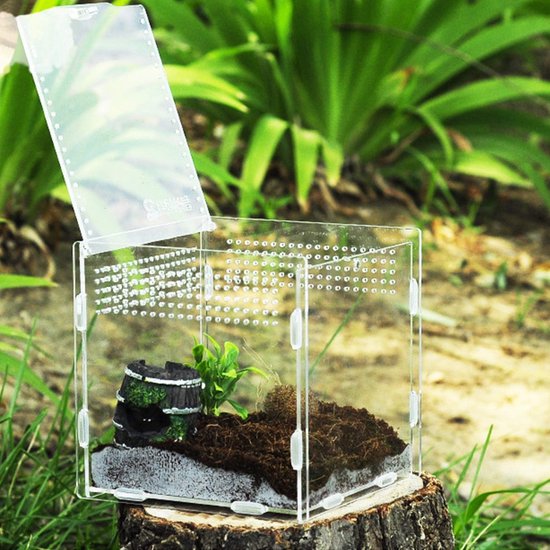 Beginner Terrarium - Transparante Container - 15x15x15 cm - Veilig en Robuust - Anti-Escape - Goede Ventilatie - Geschikt voor Spinnen, Schorpioenen, Kevers en Wandelende Takken - Modern Design