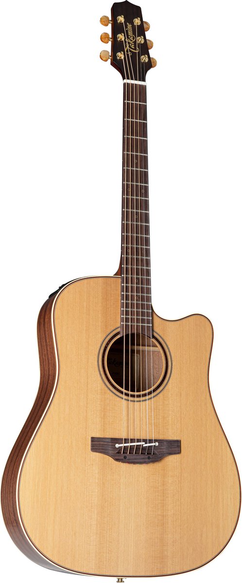 Takamine P3DC - Akoestische gitaar
