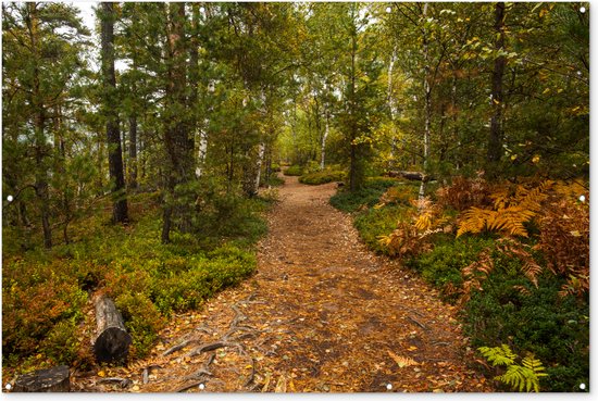 Muurdecoratie Bos - Pad - Herfst - Bladeren - 180x120 cm - Tuinposter - Tuindoek - Buitenposter