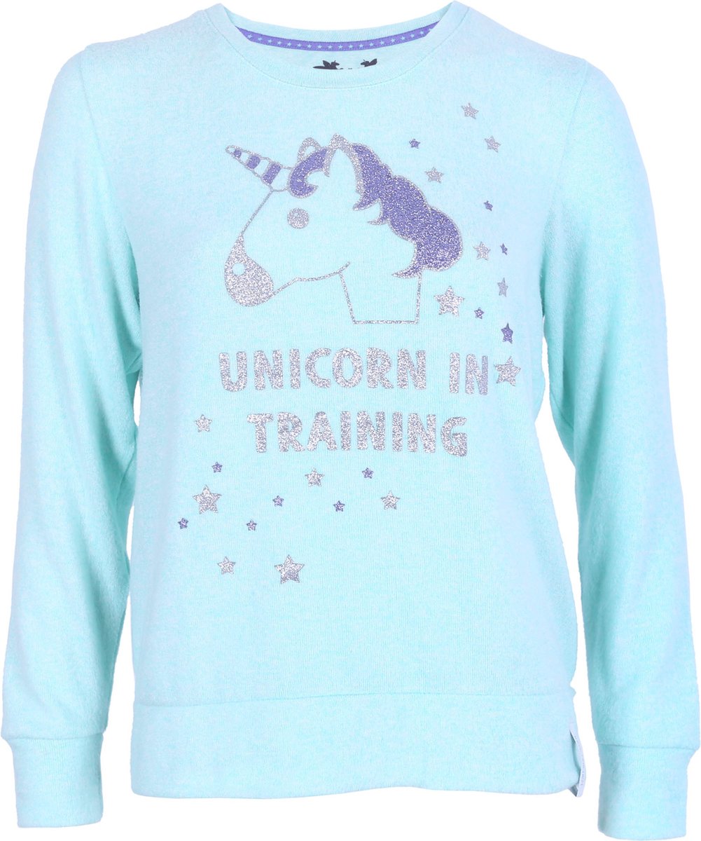 Eenhoorn mint sweater UNICORN