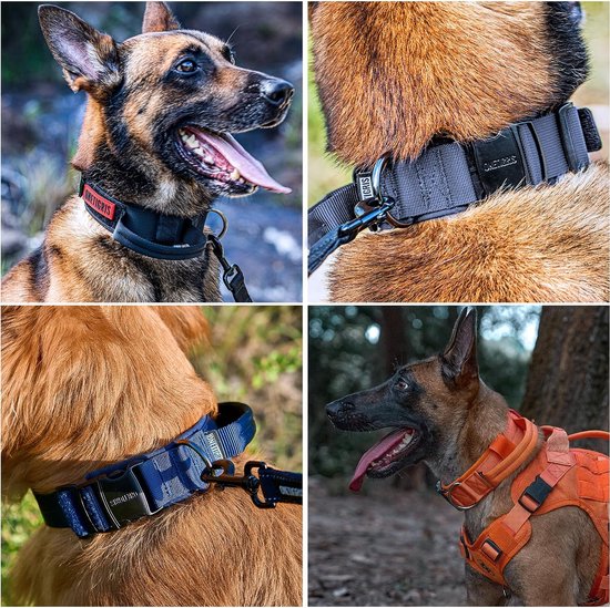 Collier Réglable Pour Chien Taille S/M - Tissu Oxford Doux - Boucle Métal Sécurité - 5 Trous D'Ajustement - Couleur Variée