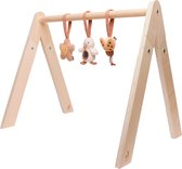 Jollein Babygym Speeltjes - Spring Garden